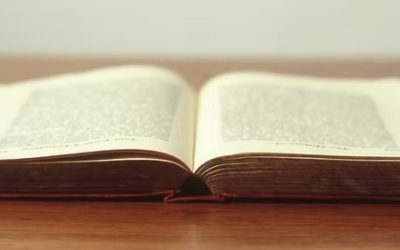 La Storia dell’Istituzione Shan